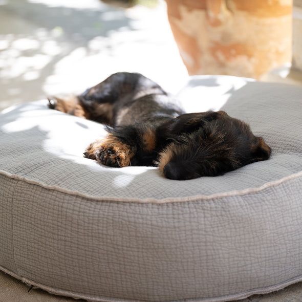 Fulvio Dog Cushion