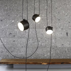 Aim Multipoint Pendant Light