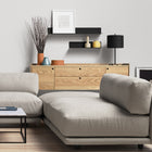 Peek 2 Door 2 Drawer Console