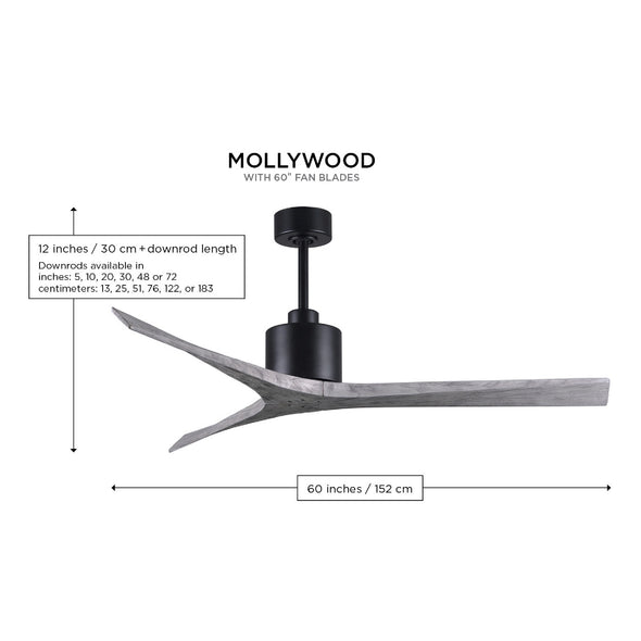Mollywood Ceiling Fan