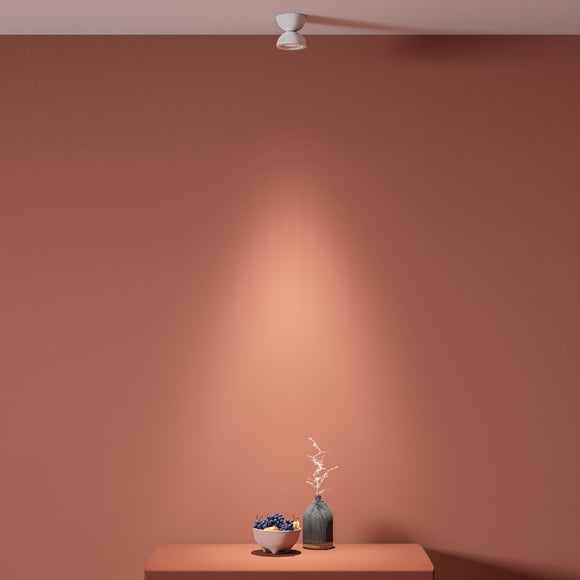 DoDot Wall / Ceiling Light