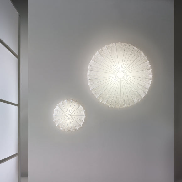 Muse Wall/Ceiling Light
