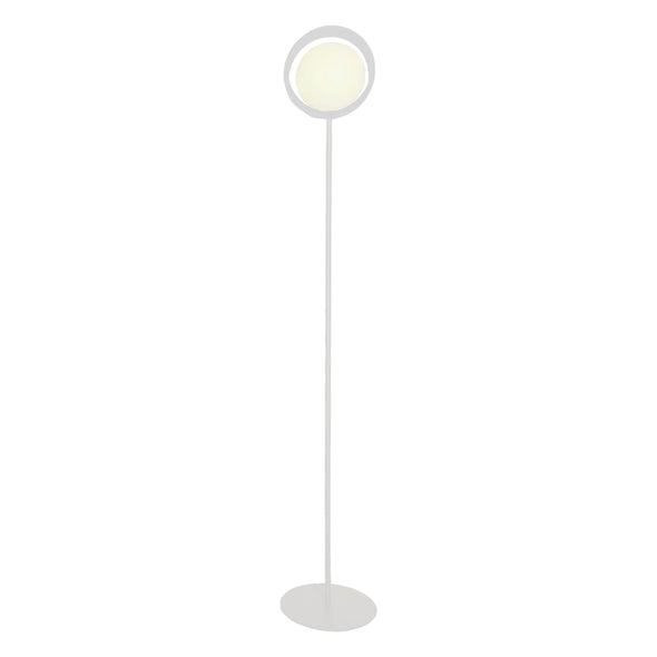 Ring Floor Lamp