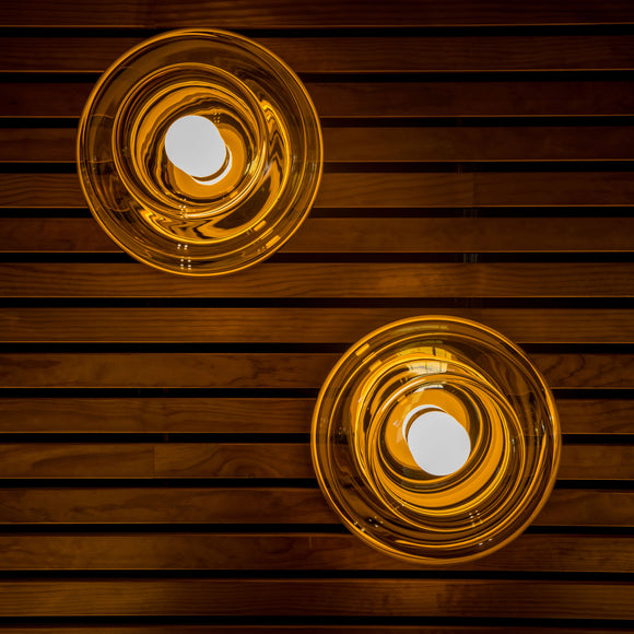 Blimp LED Wall/Ceiling Light