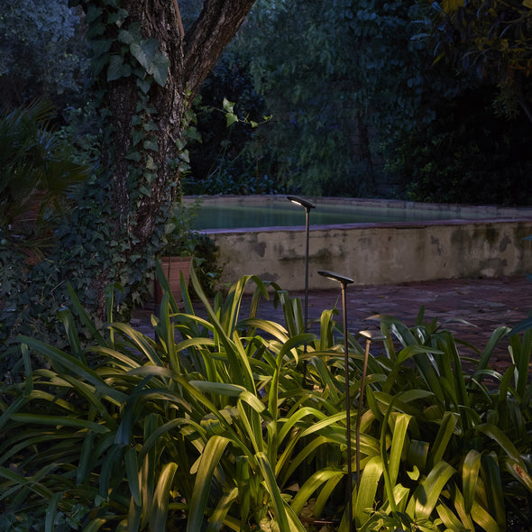 Birdie Double Outdoor LED Bollard Light