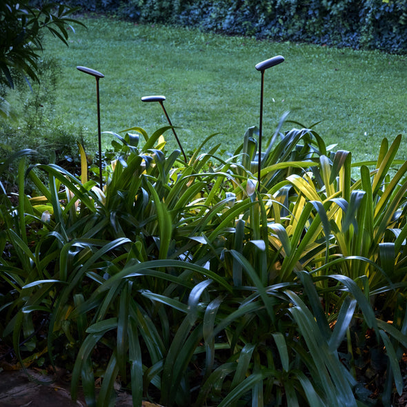 Birdie Outdoor LED Bollard Light