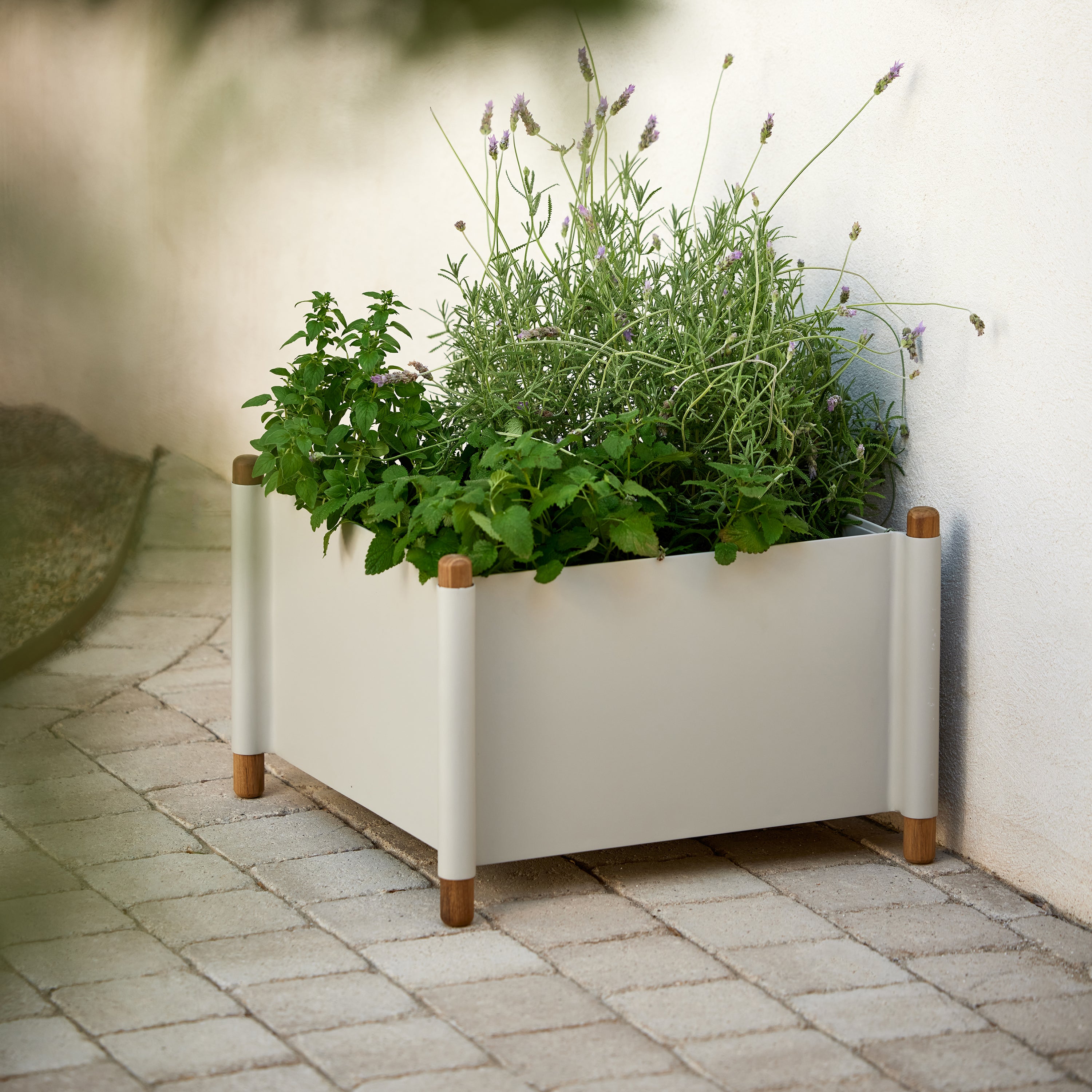 cane pots for plants Cane-line Sticks planter, large