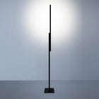 Hashi LED Floor Lamp