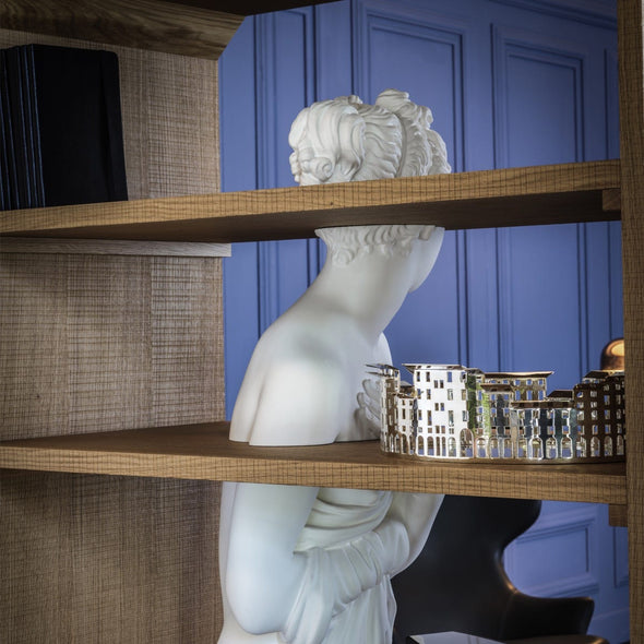 Venus Shelf