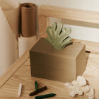 Harbour Coral Box