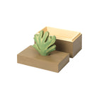 Harbour Coral Box