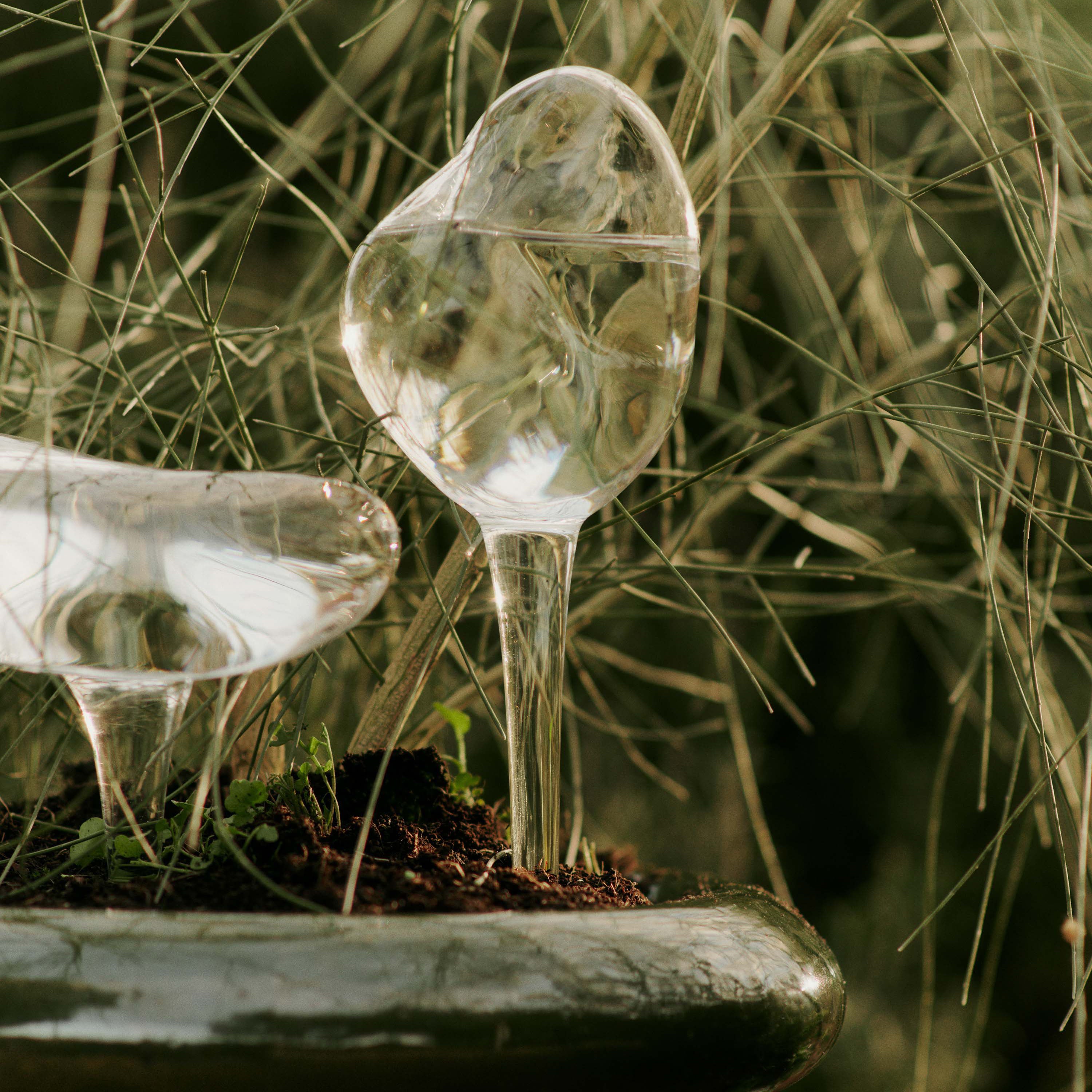 globe water plants Ferm Living - Mercury Water Globes - Set of 2