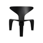 PK0 A Lounge Chair