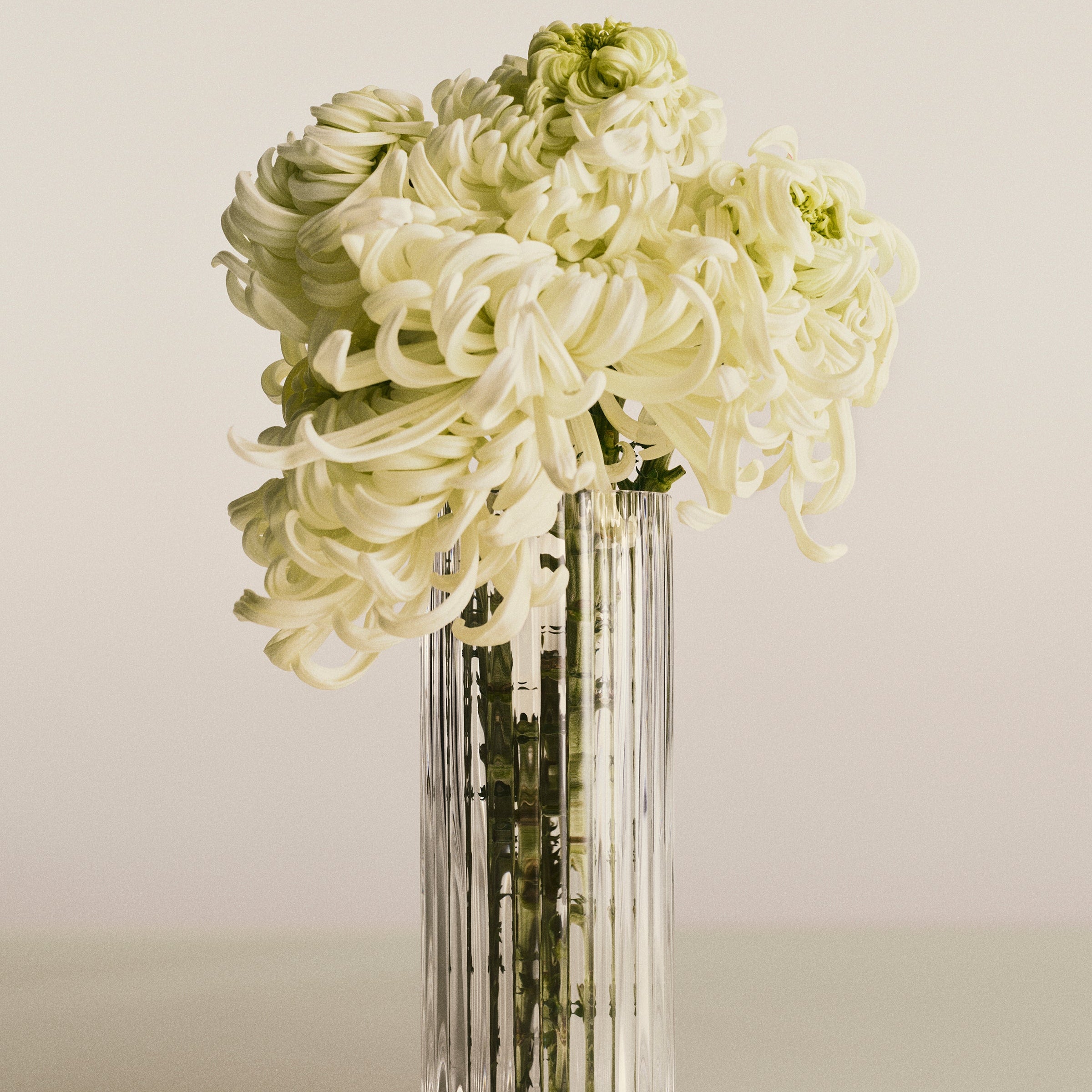 Bernadotte Round Vase