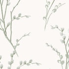 Pussy Willow Wallpaper