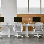 Diffrient World Task Chair