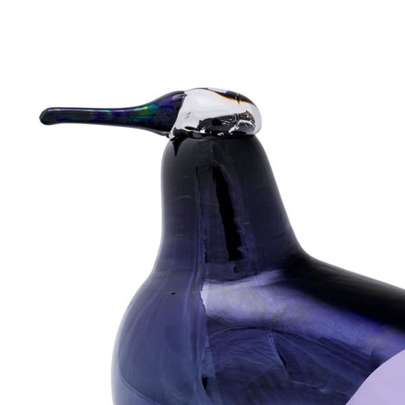 Bbt Oriol Annual Bird 2025