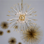 Andromeda Pendant Light