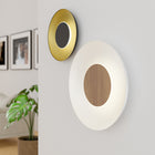 Ramen Wall/Ceiling Light