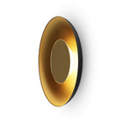 Ramen Wall/Ceiling Light