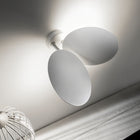 Puzzle Round Wall / Ceiling Light