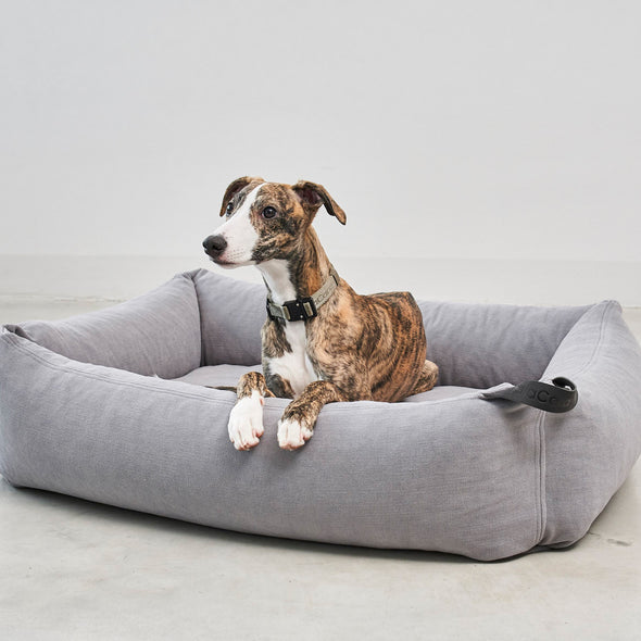 Comodo Box Dog Bed