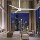 Pisces Indoor/Outdoor Smart Ceiling Fan