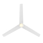 Pisces Indoor/Outdoor Smart Ceiling Fan