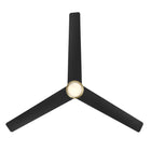 Pisces Indoor/Outdoor Smart Ceiling Fan
