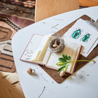 Play Table