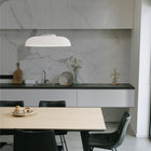 Totem Downlight Pendant Light
