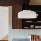 Totem Downlight Pendant Light