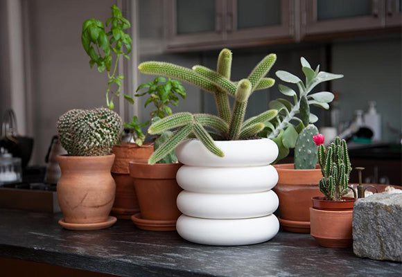 10 Stylish Indoor Planters