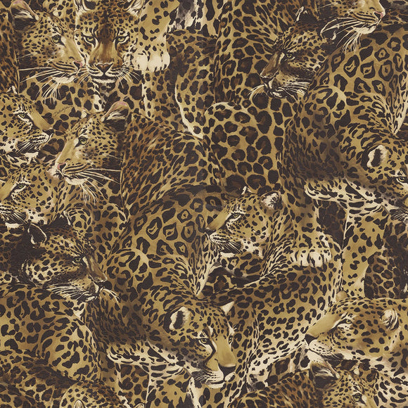 Dolce & Gabbana Leopardo Incognito Wallpaper