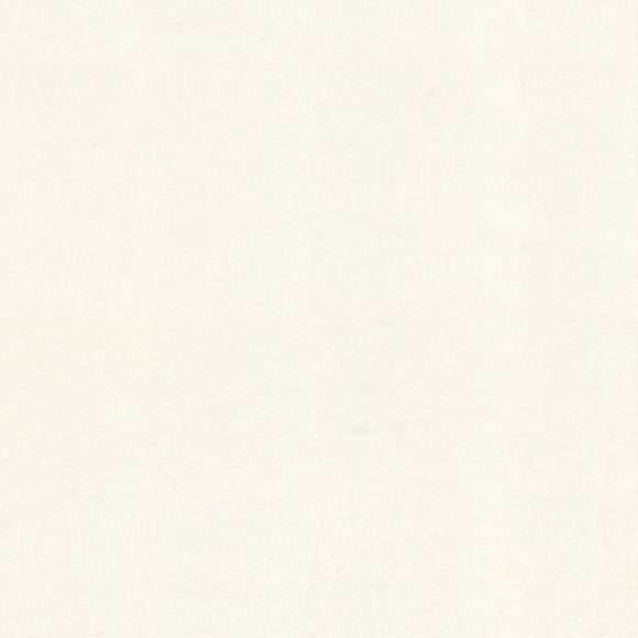 Dolce & Gabbana Leopardo Dolce Wallpaper