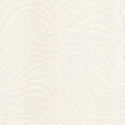 Dolce & Gabbana Zebra Dolce Wallpaper Sample Swatch