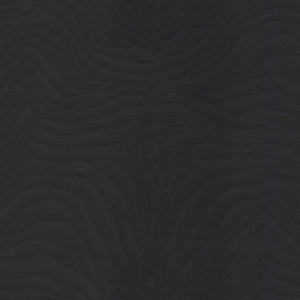 Dolce & Gabbana Zebra Dolce Wallpaper