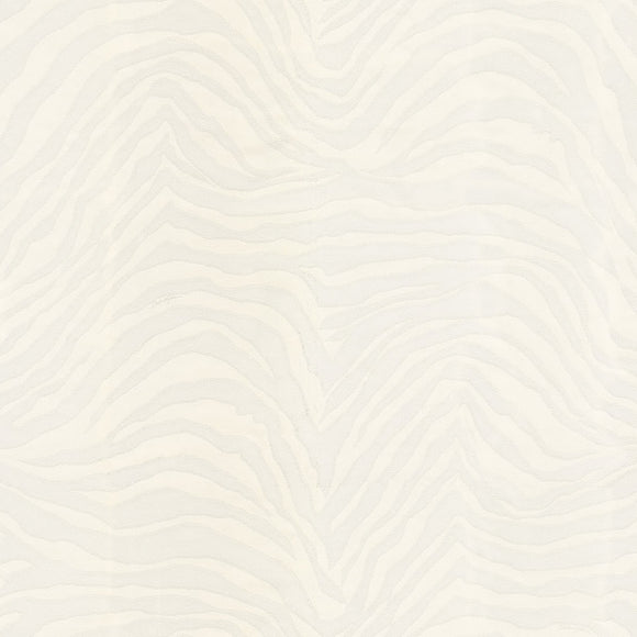 Dolce & Gabbana Zebra Dolce Wallpaper