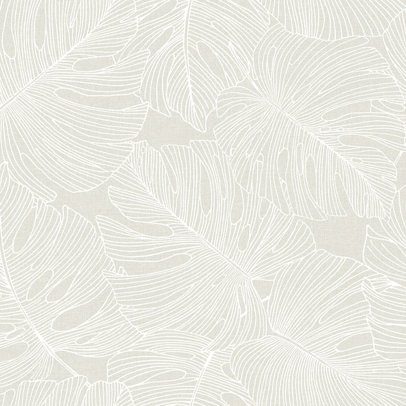 Summer House Tarra Monstera Leaf Wallpaper Sample Swatch