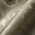 Versace Volume 5 Gilded Age Wallpaper