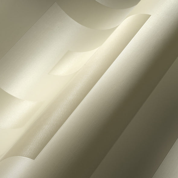 Versace Volume 5 Sphinx Wallpaper