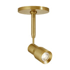 Sean Lavin Ace Task Head Light