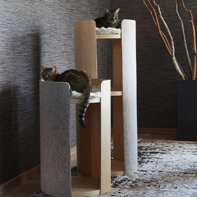 Pet Accessories