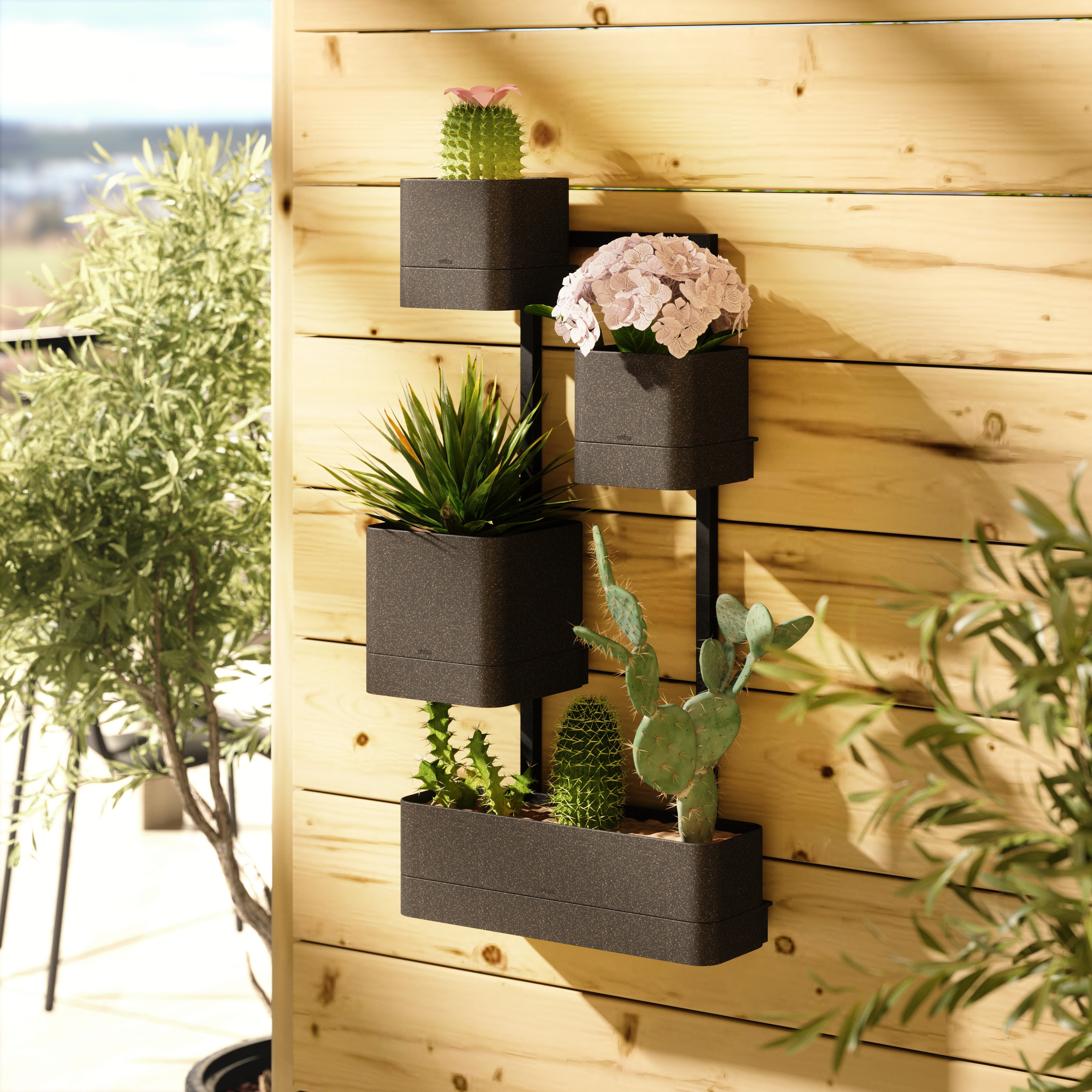 hanging plants on outdoor wall Cubiko Wall Planter