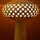 Raul Angulo Coronel RL Lantern