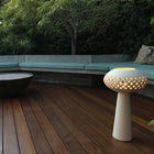 Raul Angulo Coronel RL Lantern