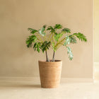 Saya Plant Pot (Set of 2)