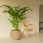 Saya Plant Pot (Set of 2)