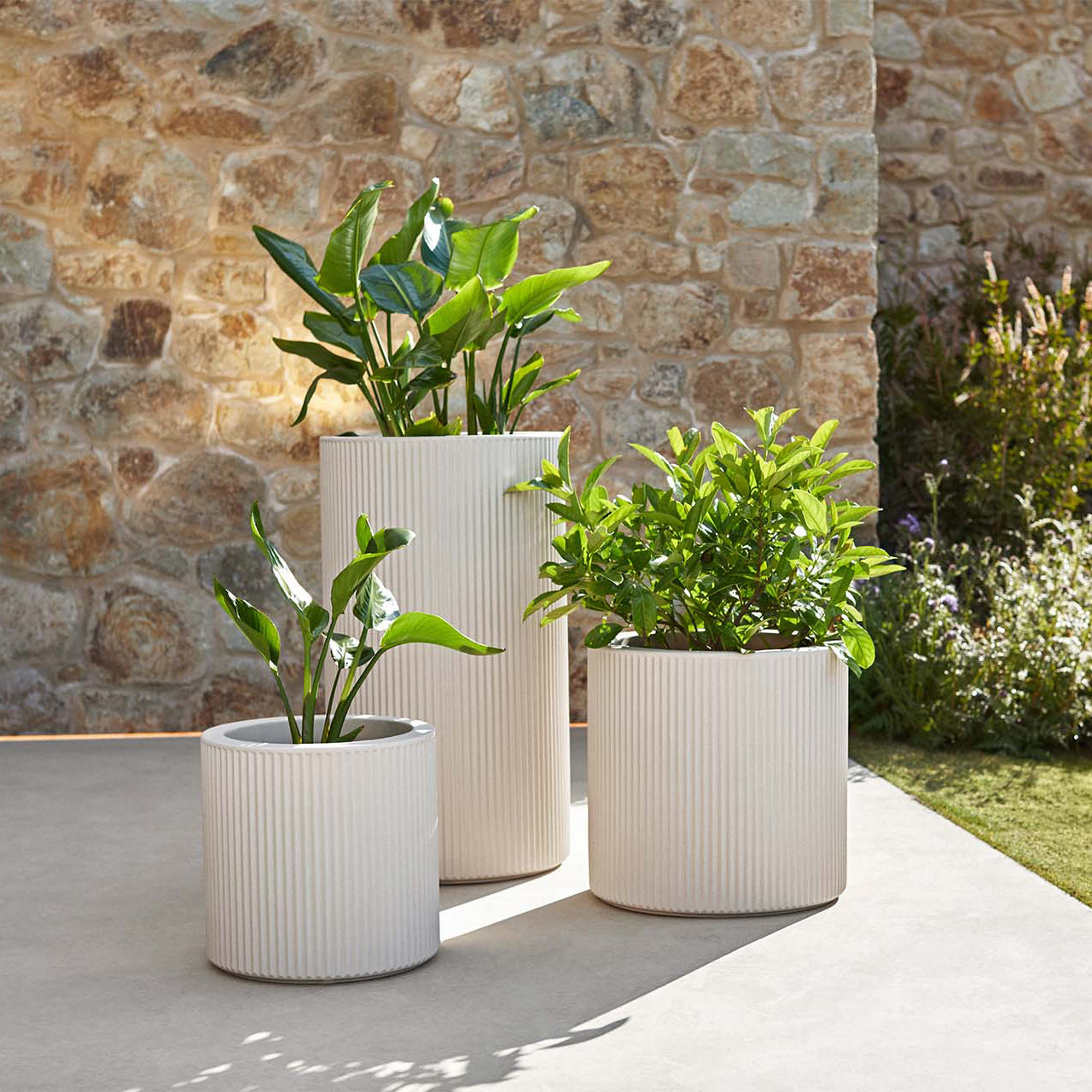 Cylinder Planter
