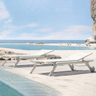 Africa Sun Lounger (Set of 2)